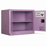 Corrosive Storage Cabinet 100L 2 Door, 1 Shelf